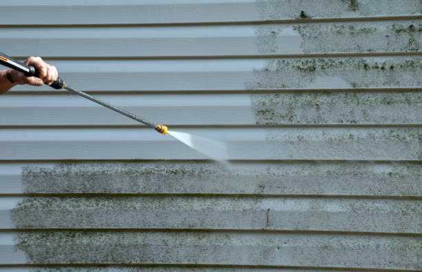 Best Attic Mold Removal  in Burnham, IL