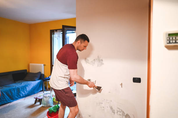 Burnham, IL Mold Removal Company